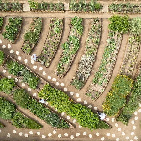 Otel Byblos Saint-Tropez